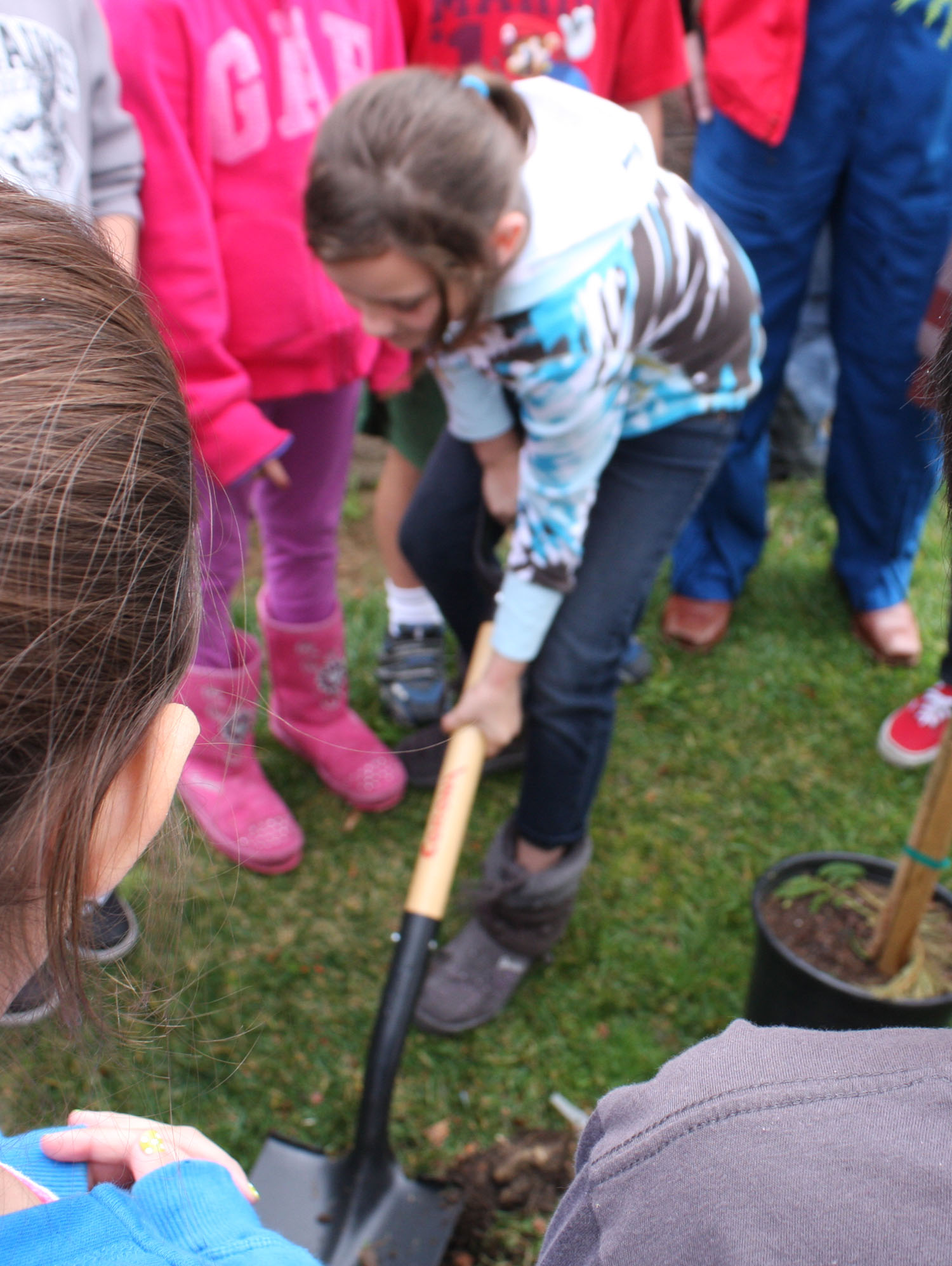  # ci265 Cosmonaut is planting trees in American school 5