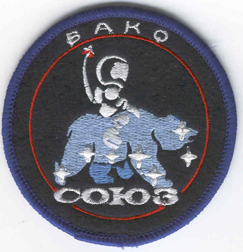  # fp200            Soyuz TM-17/MIR-14 VAKO-Soyuz patch 1