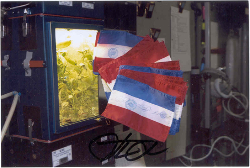  # gp500            Soyuz TMA-4/ISS-9 flown Dutch flag 2