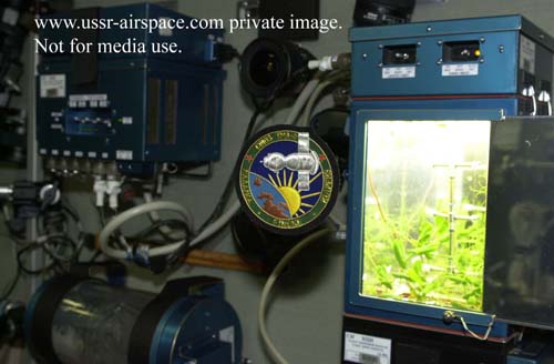  # gp250            Soyuz TMA-4/ISS-9 flown patches 2