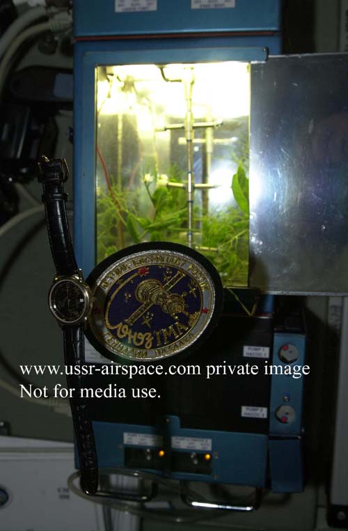  # gp250            Soyuz TMA-4/ISS-9 flown patches 3