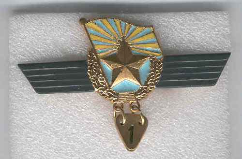  # yaksu300            Aerobatic pilot class metal wing 1