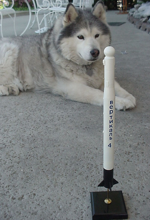  # sm351            Vertical-4 metal rocket model 1