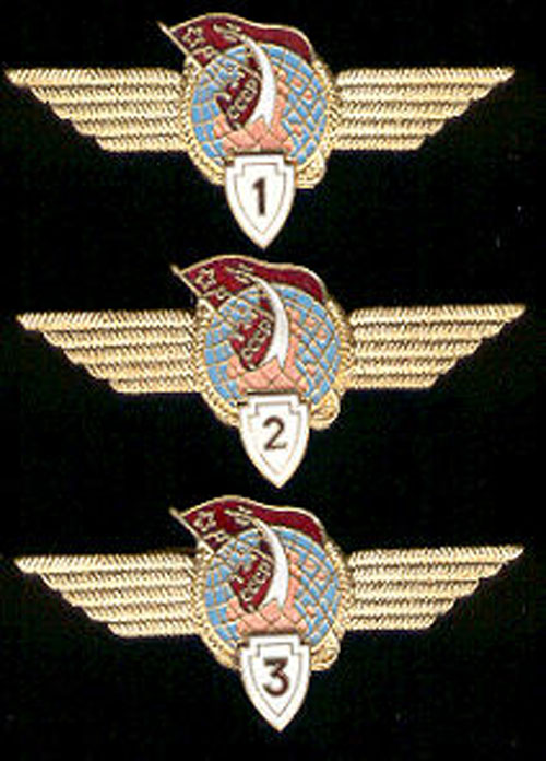  # sw100            Cosmonaut Class wings 1