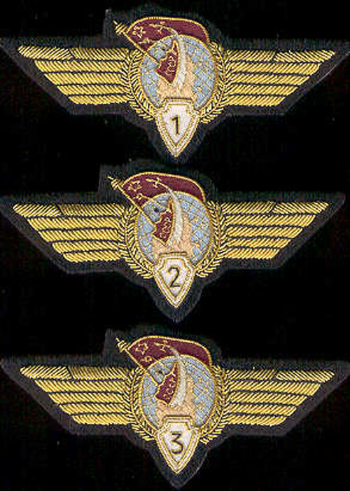  # sw100            Cosmonaut Class wings 2