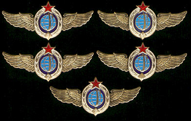  # sw105            Space Forces (Military Space Divisions) wings 1
